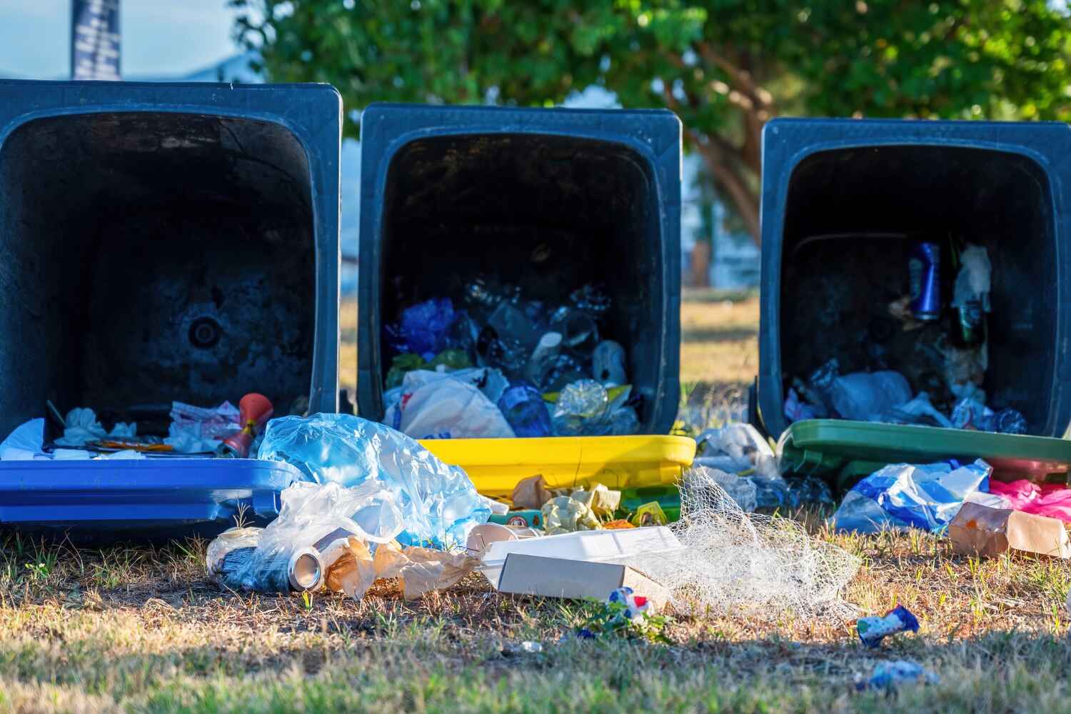 Appliance Disposal in San Fernando, CA